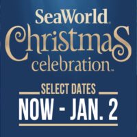 Christmas Celebration 2021 at SeaWorld